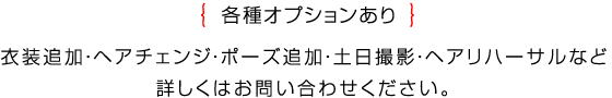 各種オプションあり